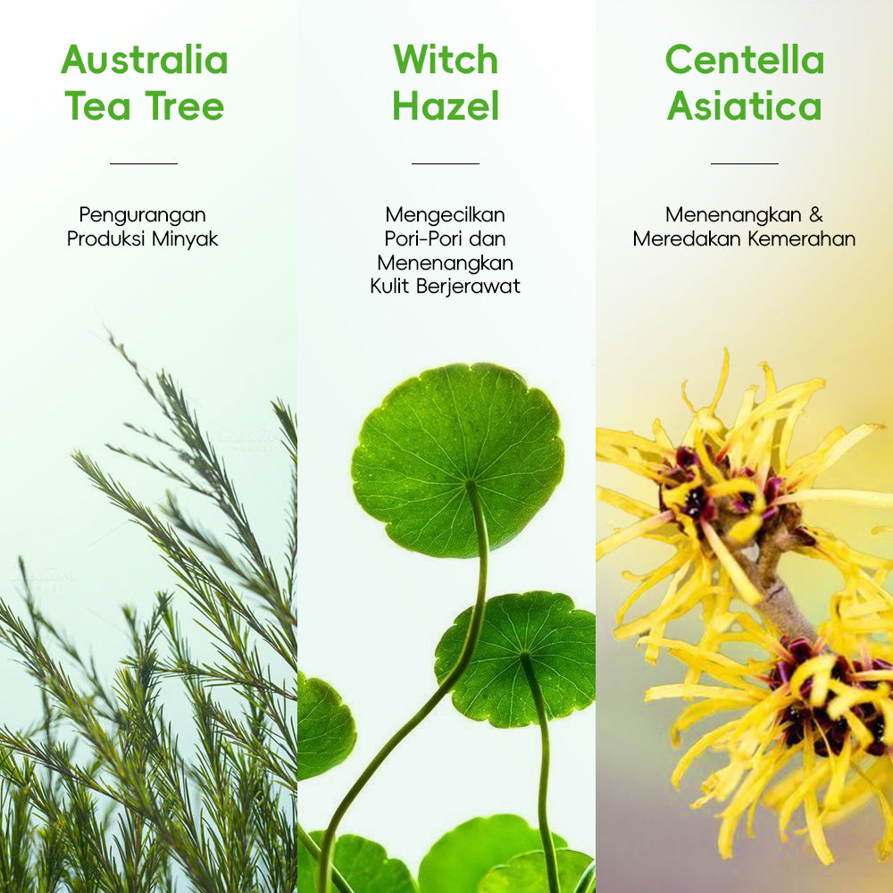 Tea Tree Moisturizing Toner