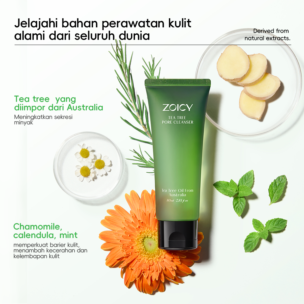 Tea Tree Pore Cleanser